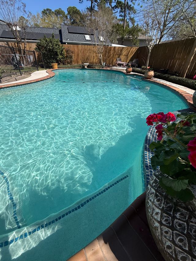 Curved pool with clear water and a blue tile line, red flowers in a planter on the deck